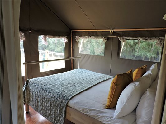 Safari Tent Bedroom